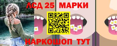 гидропоника Сланцы
