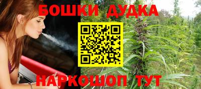гидропоника Сланцы