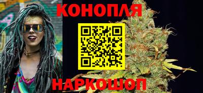 гидропоника Сланцы