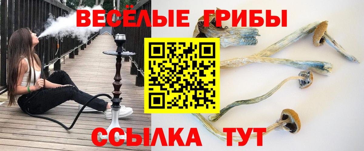 как найти   Псилоцибиновые грибы Magic Shrooms  Вход с VPN  Галлюциногенные грибы GOLDEN TEACHER  Саров 